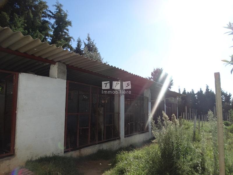 Appartement à vendre Tunisie