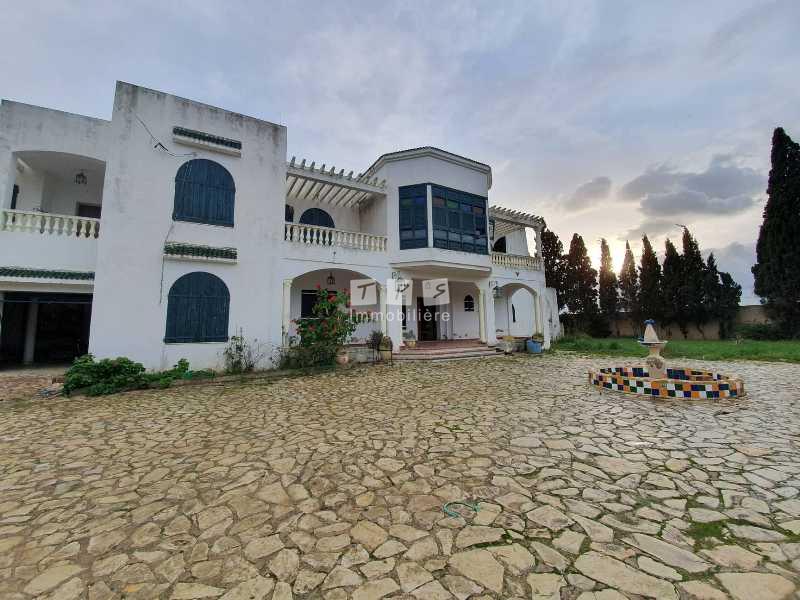 agence immobilière tunisie