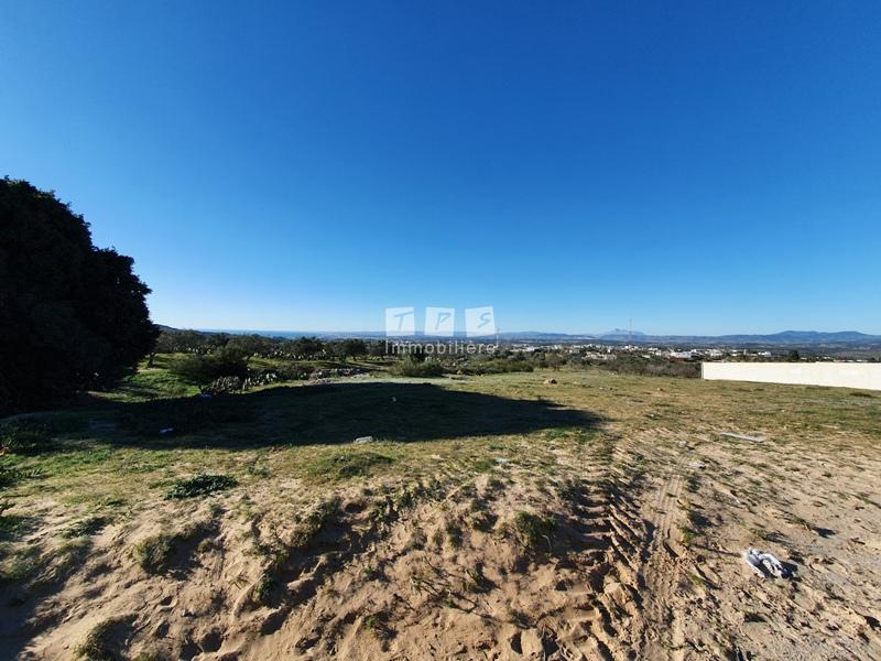 agence immobilière tunisie