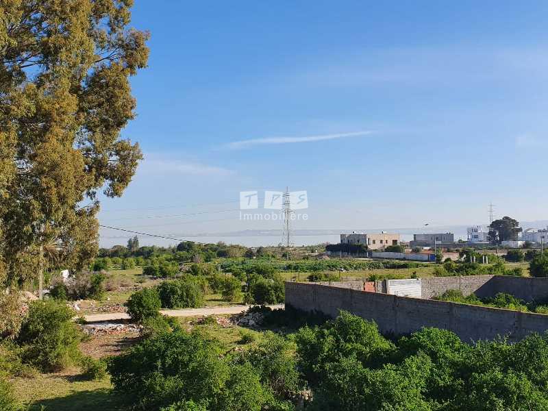 agence immobilière tunisie