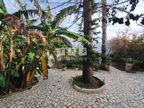 vente villa Tunisie