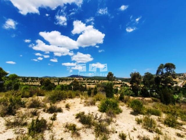 agence immobilière tunisie