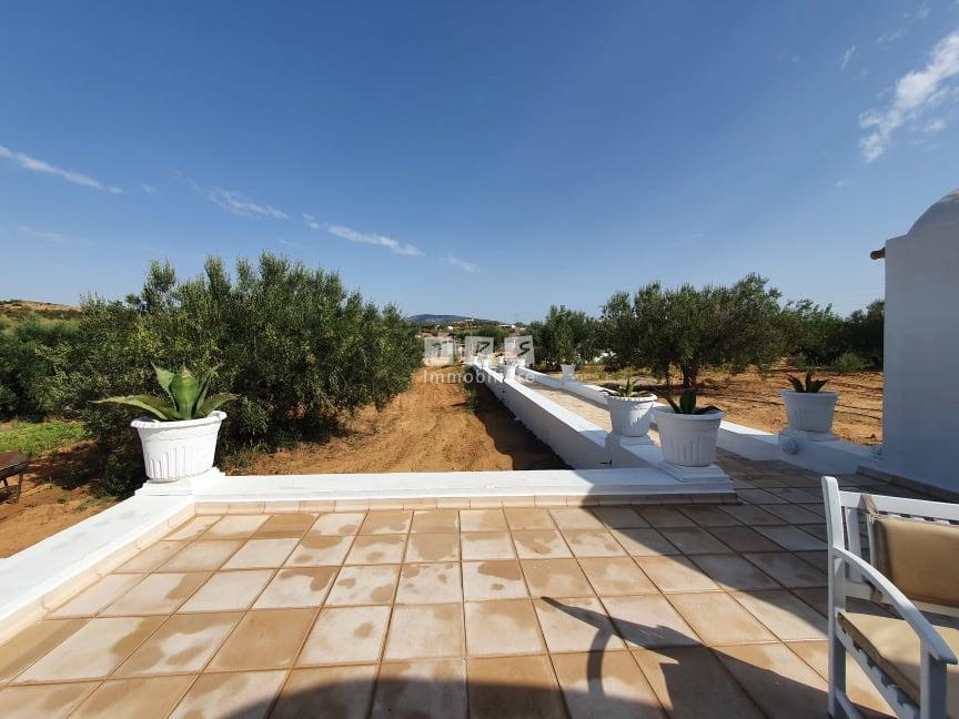 location appartement hammamet