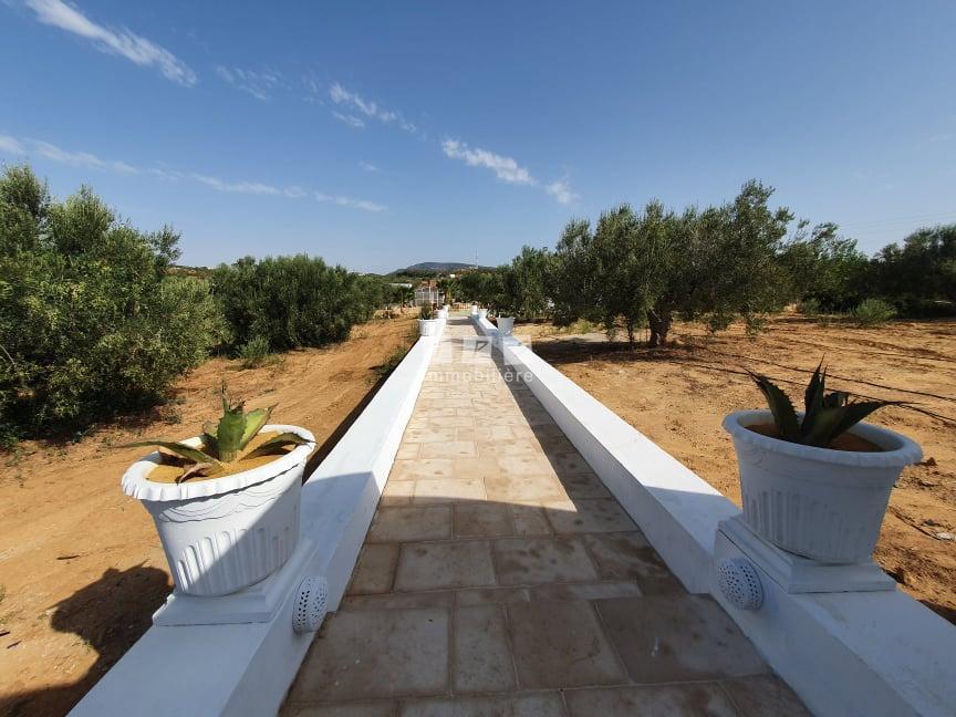 vente villa Tunisie