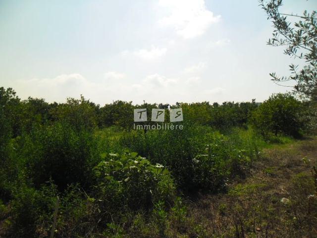 Appartement à vendre Tunisie