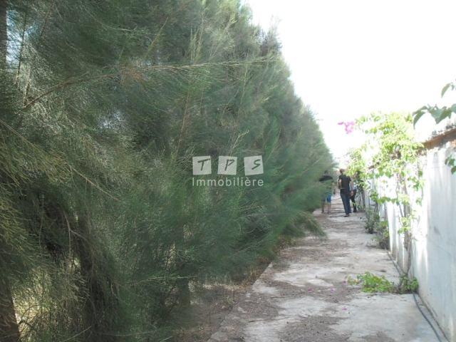 Appartement à vendre Tunisie