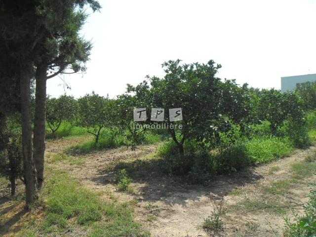 Appartement à vendre Tunisie