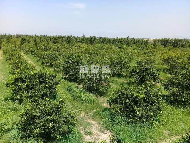 Appartement à vendre Tunisie