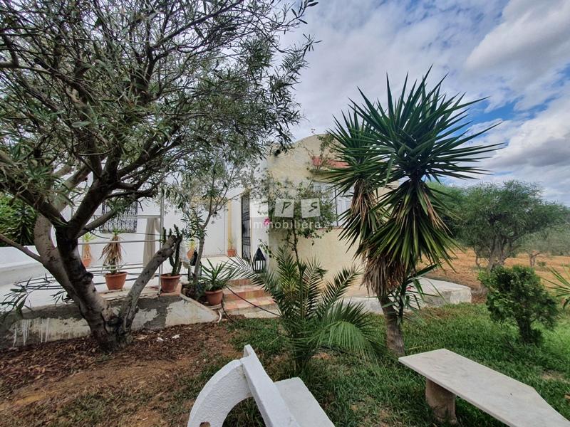 agence immobilière tunisie