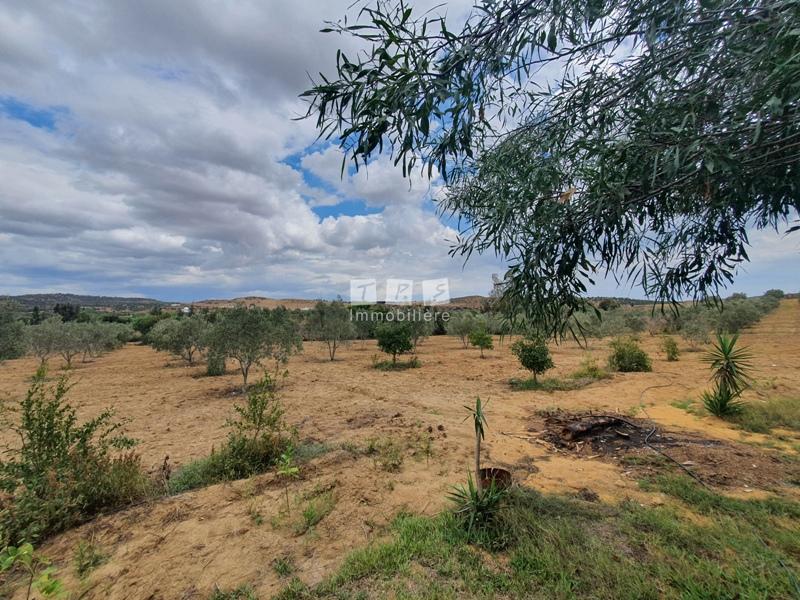 Appartement à vendre Tunisie