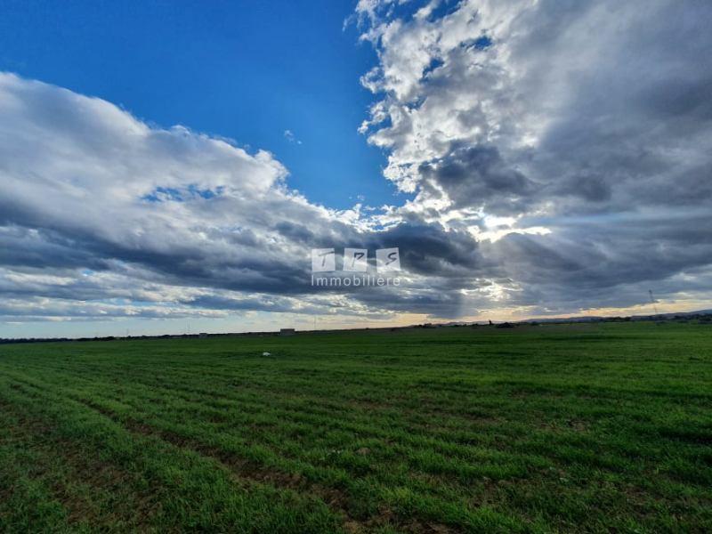 agence immobilière tunisie