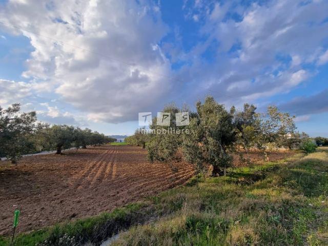 Appartement à vendre Tunisie