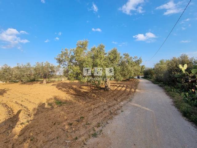 Appartement à vendre Tunisie