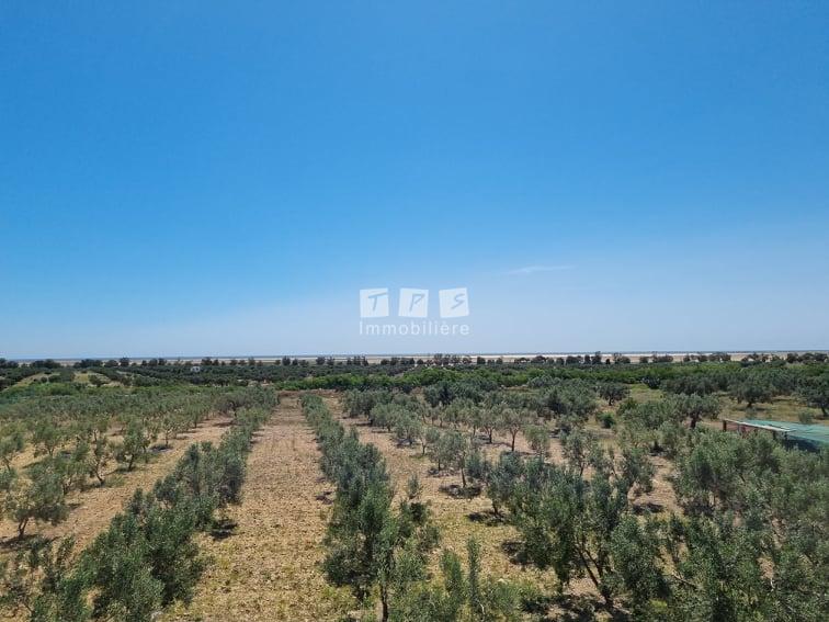 Appartement à vendre Tunisie