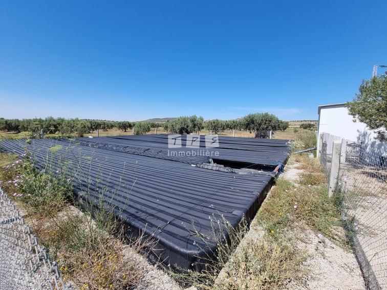 Appartement à vendre Tunisie