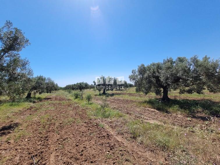 Appartement à vendre Tunisie