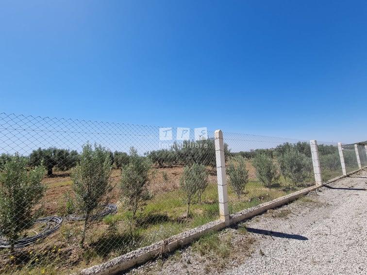 Appartement à vendre Tunisie