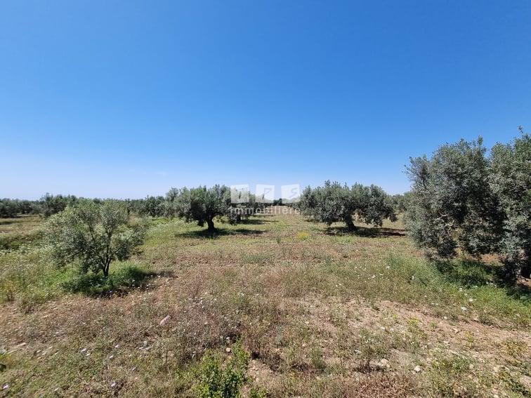 Appartement à vendre Tunisie