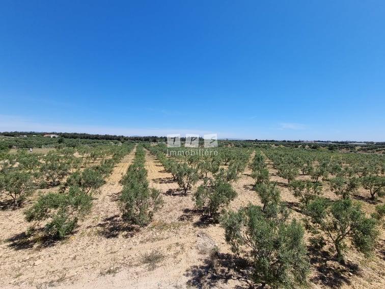 Appartement à vendre Tunisie