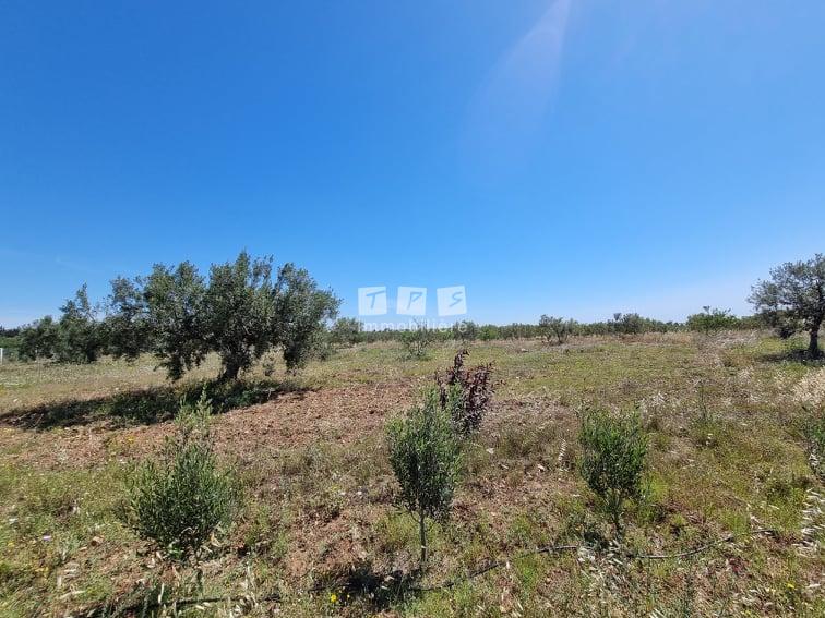 Appartement à vendre Tunisie