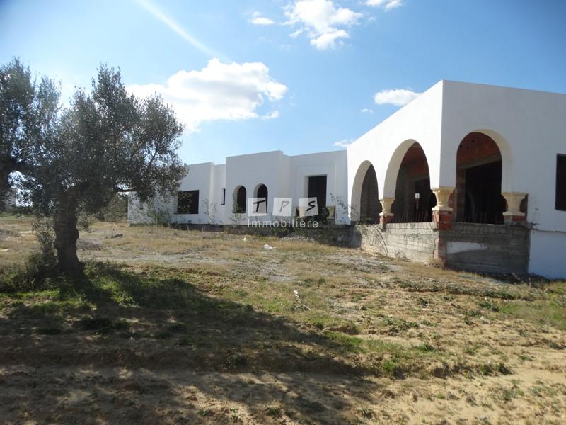 agence immobilière tunisie