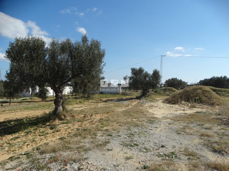Appartement à vendre Tunisie