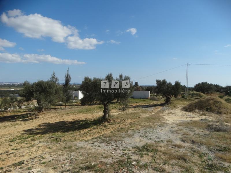 Appartement à vendre Tunisie