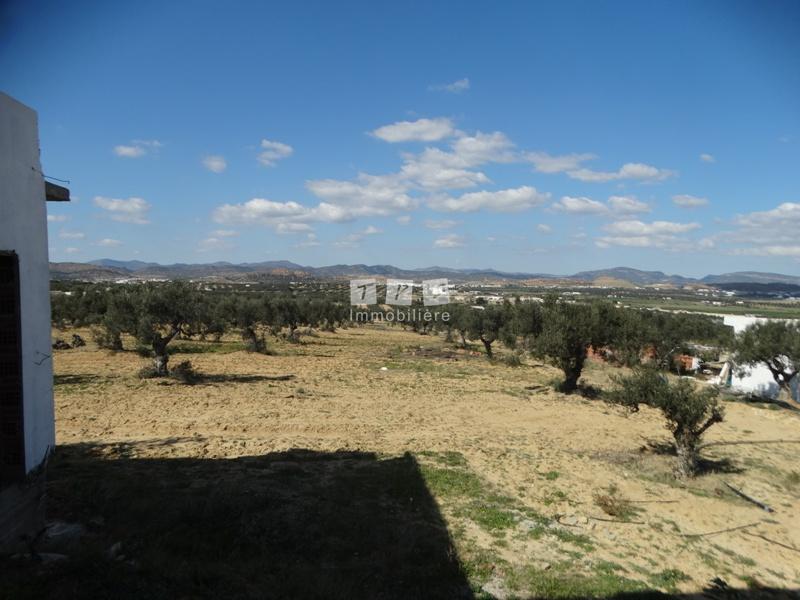 Appartement à vendre Tunisie