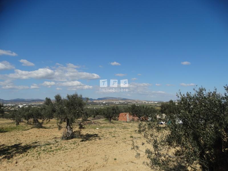 Appartement à vendre Tunisie