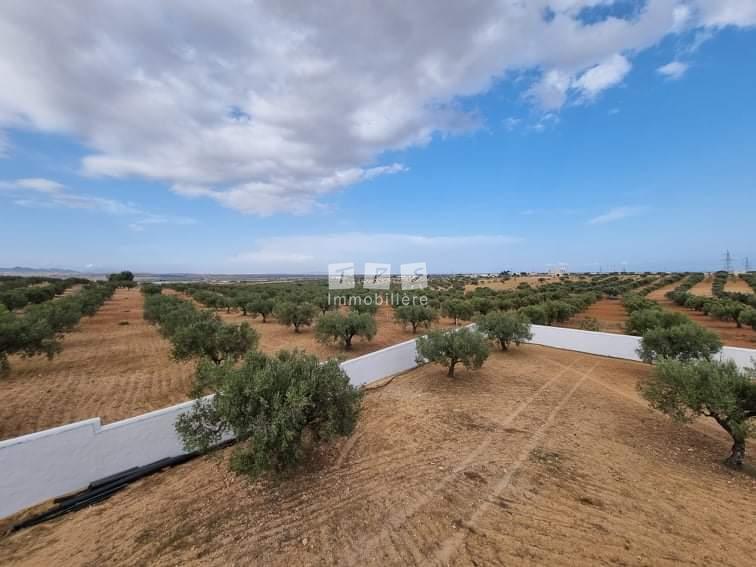 Appartement à vendre Tunisie