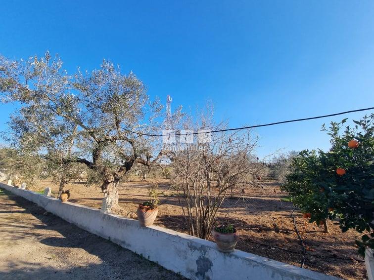 Appartement à vendre Tunisie