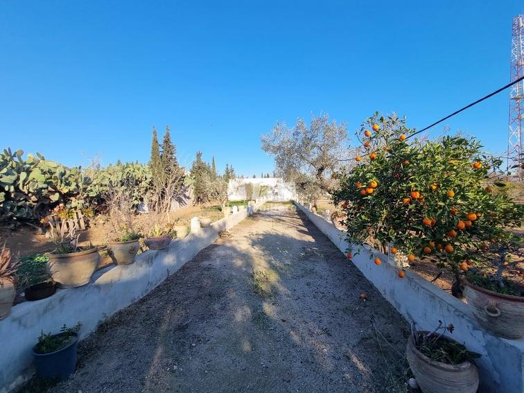 Appartement à vendre Tunisie