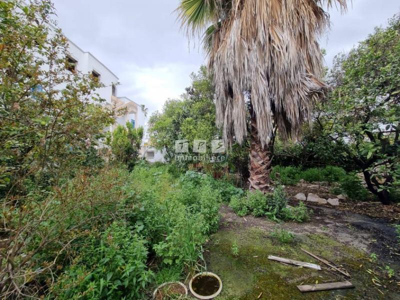 Appartement à vendre Tunisie