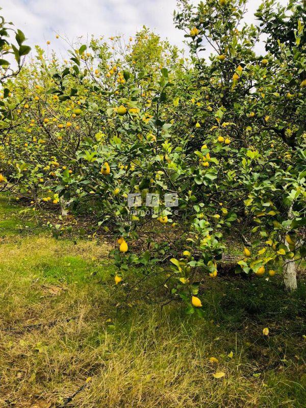 Appartement à vendre Tunisie