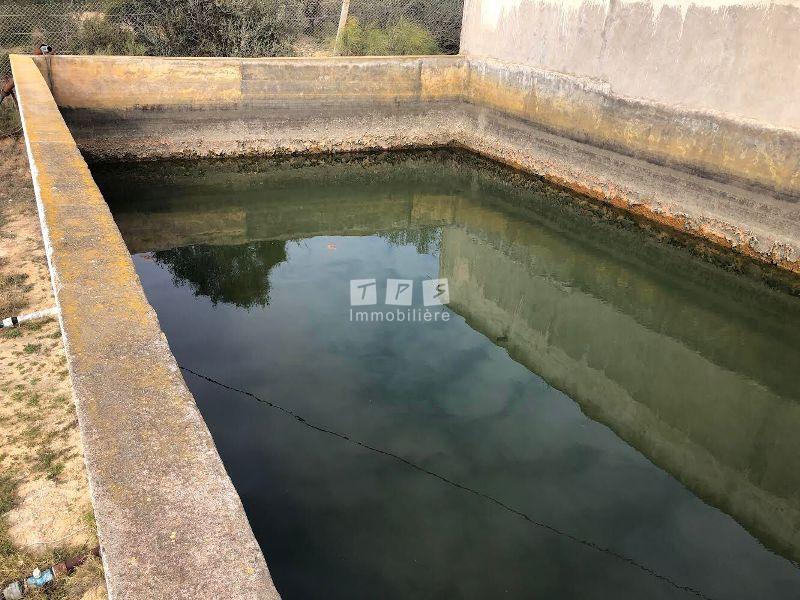 Appartement à vendre Tunisie