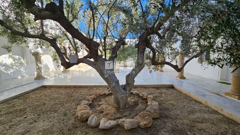 vente villa Tunisie