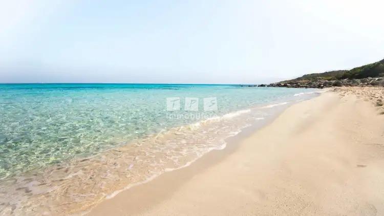 agence immobilière tunisie