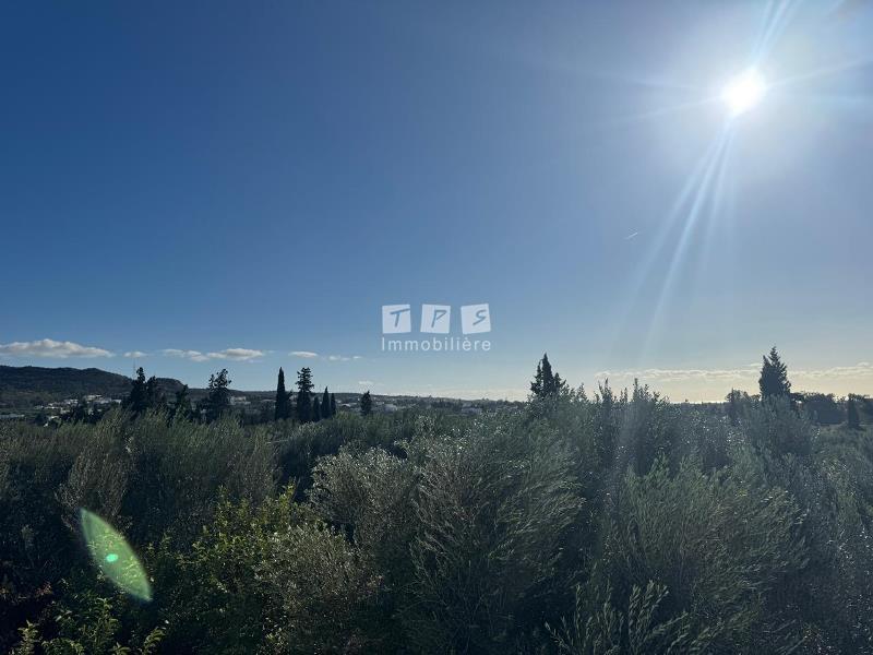 agence immobilière tunisie