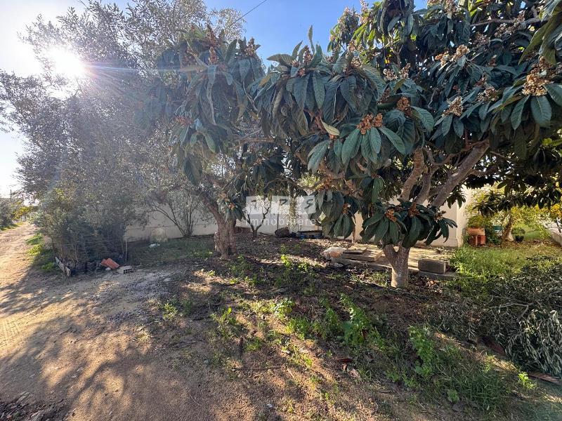 Appartement à vendre Tunisie