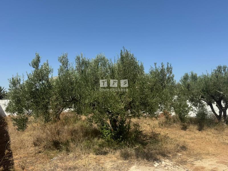 Appartement à vendre Tunisie