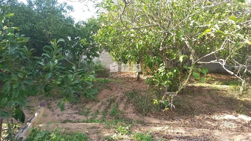 agence immobilière tunisie