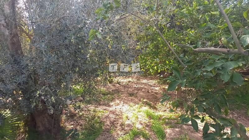 Appartement à vendre Tunisie