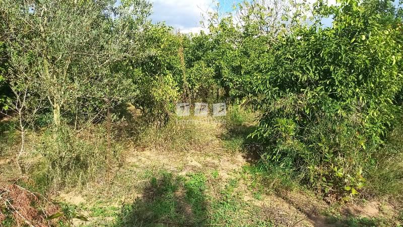 Appartement à vendre Tunisie