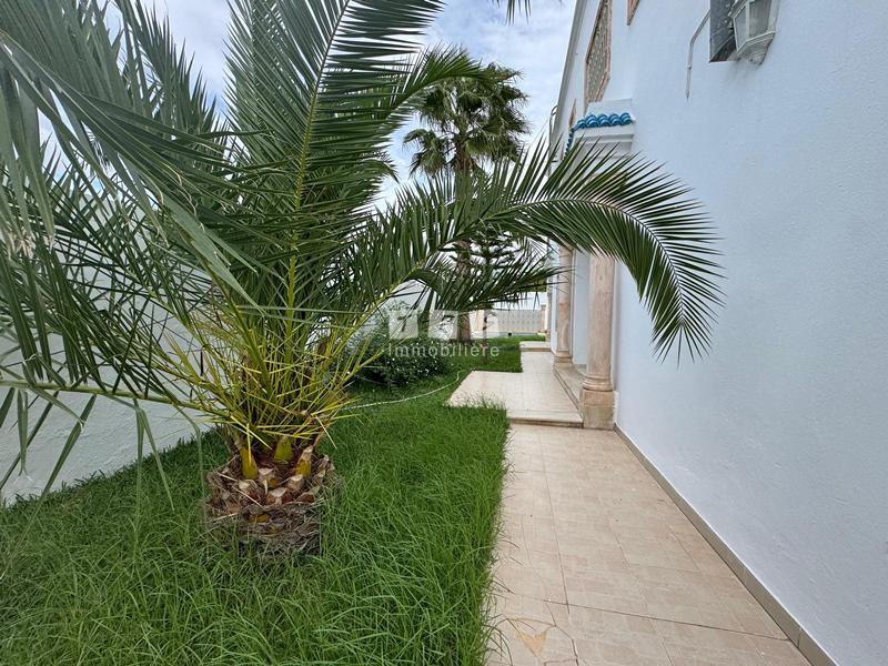 location appartement hammamet