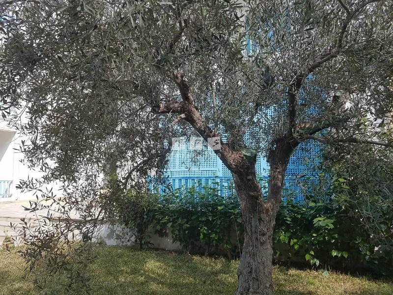 vente villa Tunisie