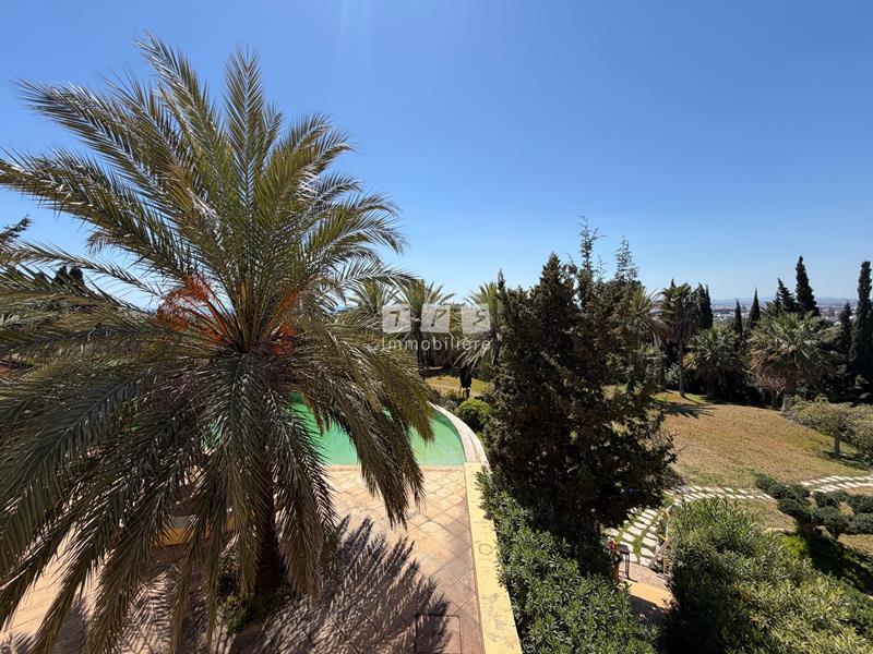 location appartement hammamet