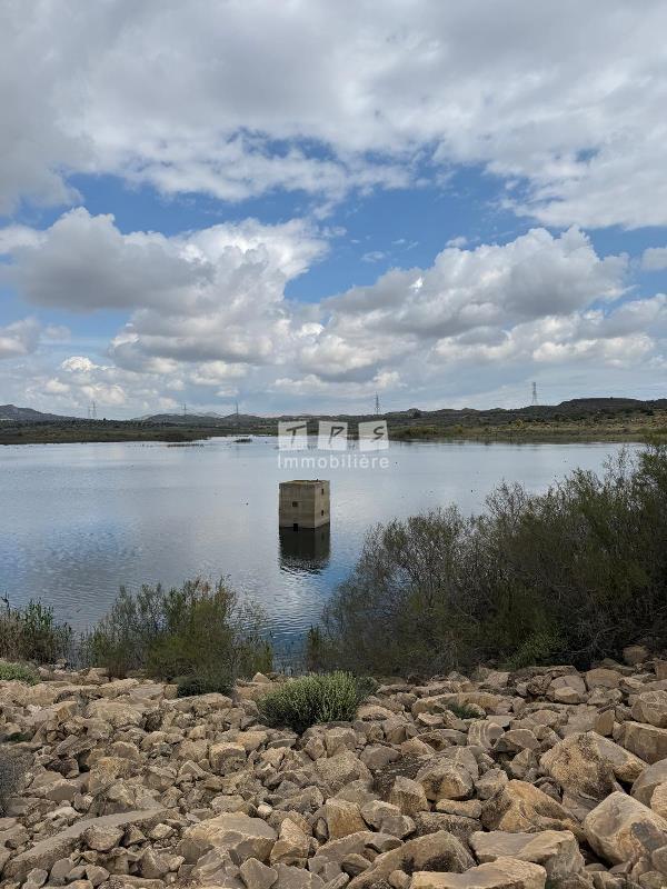 agence immobilière tunisie