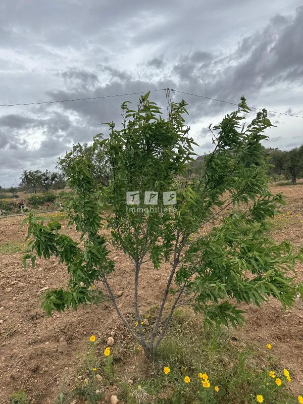 Appartement à vendre Tunisie