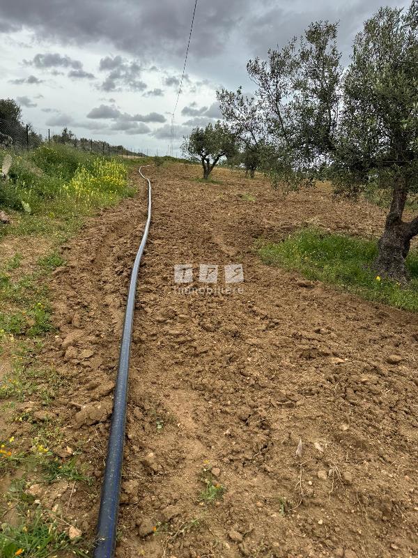 Appartement à vendre Tunisie