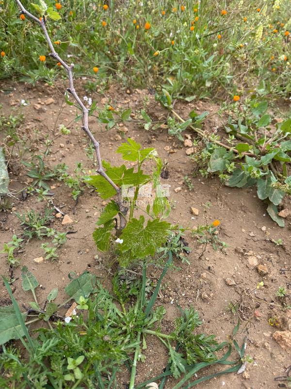 Appartement à vendre Tunisie